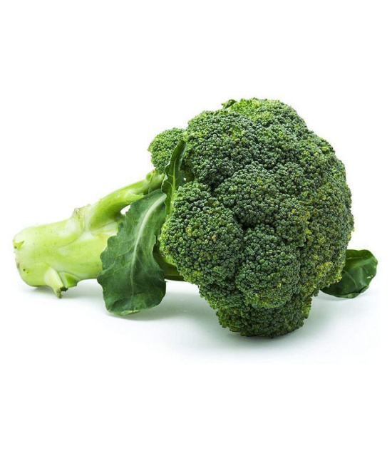 Broccoli Vegetable Seeds (Pack of 40 - seed )