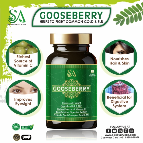 GOOSEBERRY(Improves eyesight, Richest source of vitamin C, Heart health, liver health(60 Capsules))