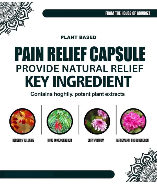 Grinbizz Pain Relief Capsules ( Pack of 1 )