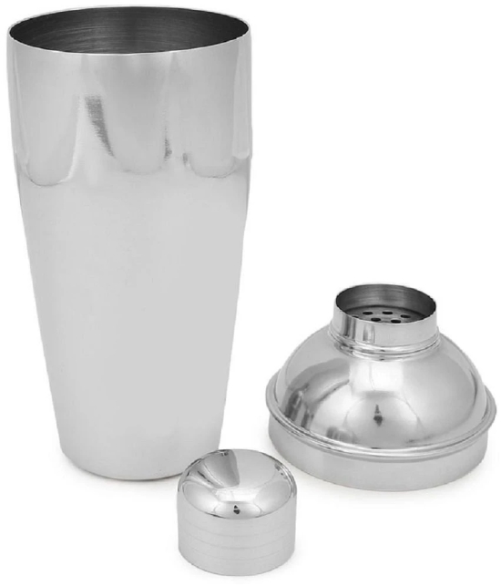 Dynore Stainless Steel Shakers 750 ml Silver - Silver