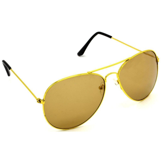 Hrinkar Brown Pilot Glasses Golden Frame Best Goggles for Men & Women - HRS33