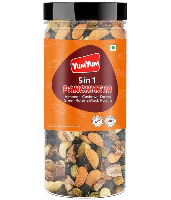 Yum Yum Panchmeva 400g I Healthy Trail Mix | Mixed Nuts Healthy Snacks