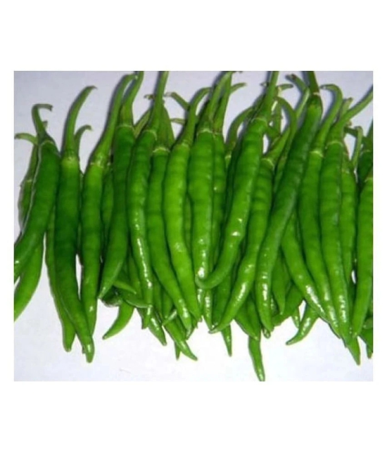 Best Hybrid Chilli Seeds - 50 + Instruction Manual