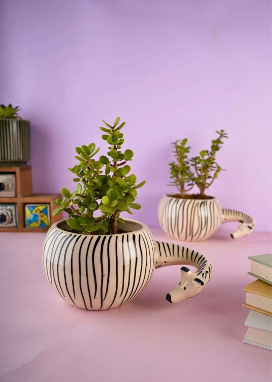 Zebra Planter