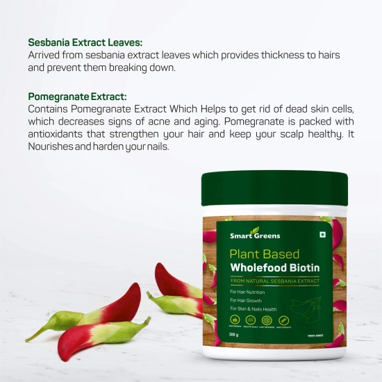 Smart Greens Biotin Powder for Hair Growth, Healthy Scalp, Skin & Nails - 300gm-Smart Greens Biotin Powder for Hair Nutrition, Hair Fall, Greying, Growth, Scalp, Skin & Nails Health - 300gm