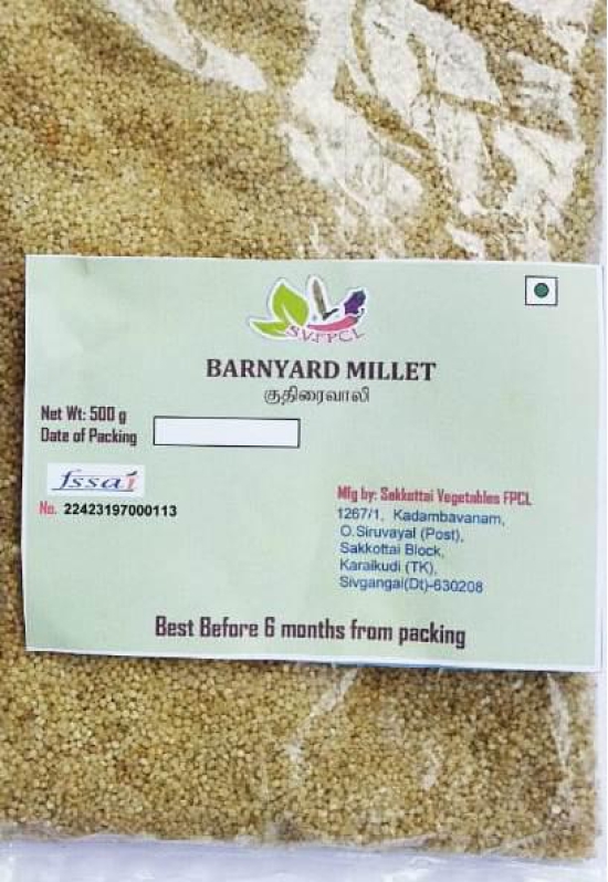 Barnyard Millet