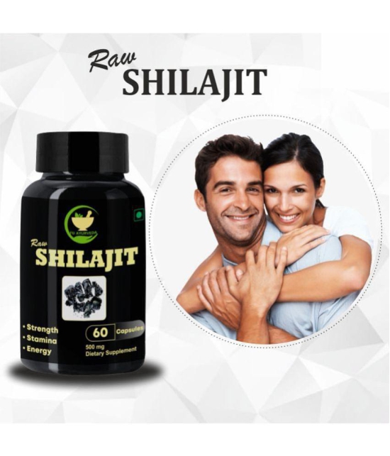 FIJ AYURVEDA Raw Shilajit Capsule for Stamina and Power, 60 Capsules Each (Pack of 2)