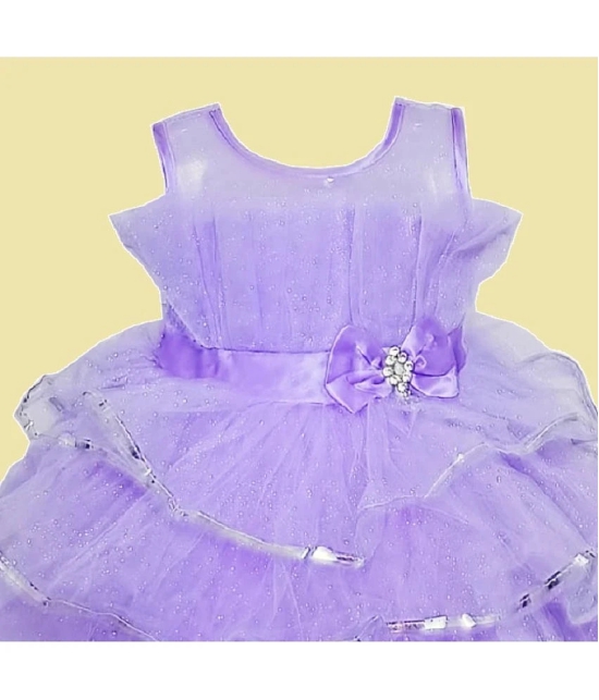 harshvardhanmart.com - Purple Net Baby Girl Frock ( Pack of 1 ) - None