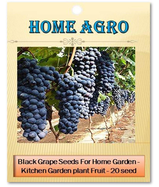 homeagro - Fruit Seeds ( 20 seeds )