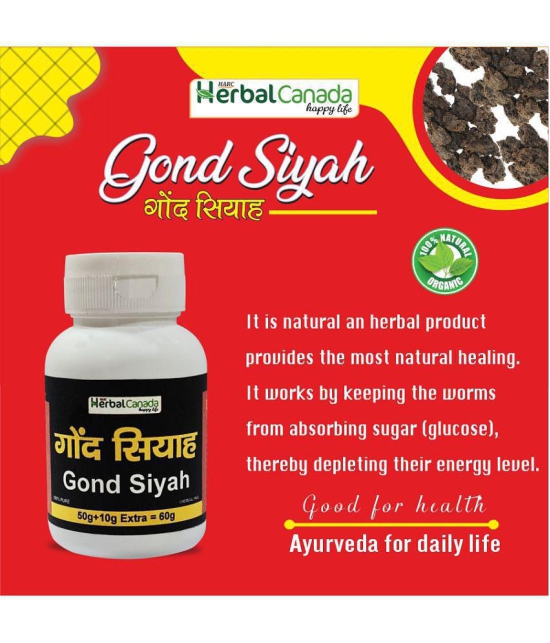 Harc Herbal Canada Gond Siyah (Kala Gond) - Pure & Natural Plant based product 60 gm Pack of 2