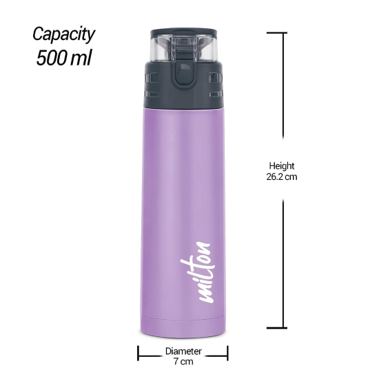 Milton Atlantis 600 Thermosteel Insulated Water Bottle 500 Ml (Purple)