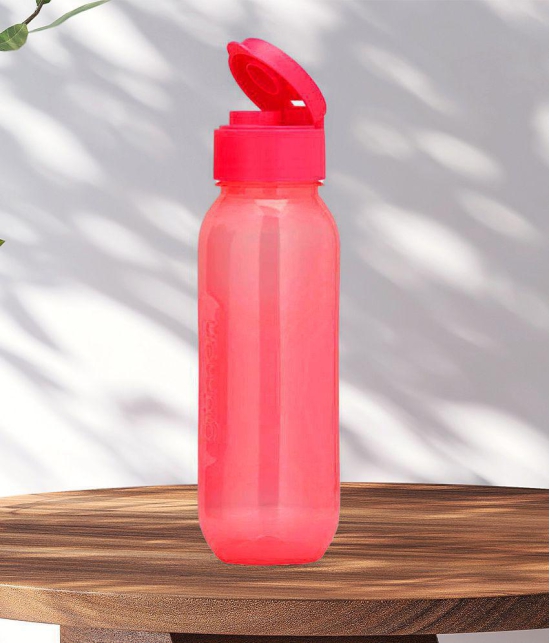 HOMETALES - Plastic BPA Free Water Bottle, Pack of 3 (600ml Each), Pink - Pink