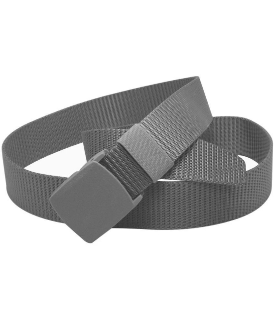 Loopa Multi Nylon Casual Belt Pack of 2 - None