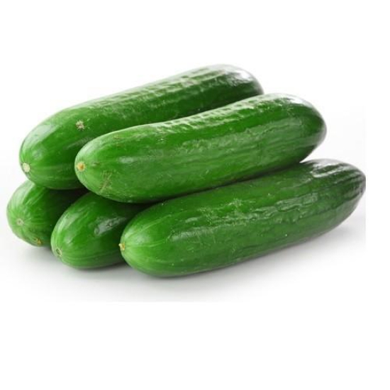 European Cucumber 250 Gms