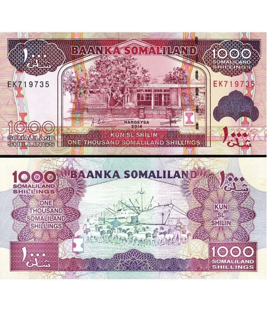 Somaliland 1000 Shillings Top Grade Beautiful Gem UNC Banknote