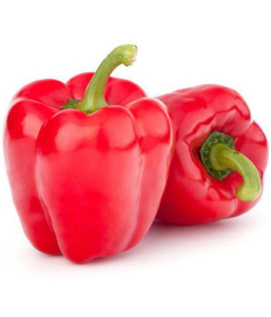 Red Capsicum Seeds, Shimla Mirch Seeds, Sweet Bell Pepper Seeds Pack Of 100 Seeds