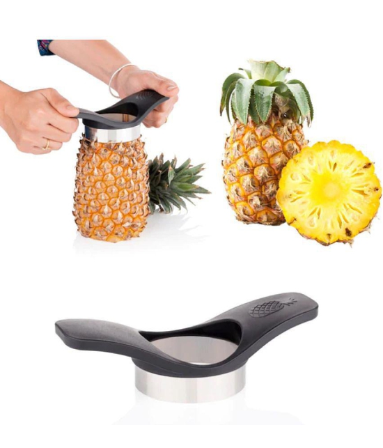 HOMETALES - Silver Stainless Steel Apple Cutter, Pineapple Cutter ,Water Melon Slicer ( Set of 3 ) - Silver