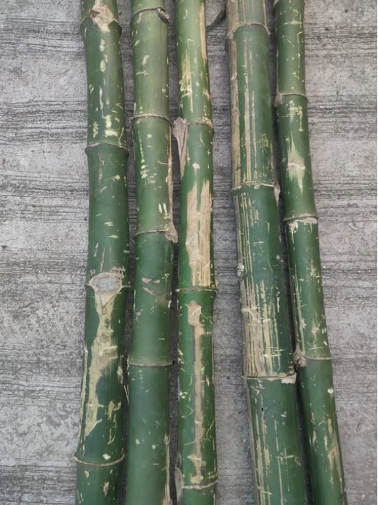 BAMBOO DRY