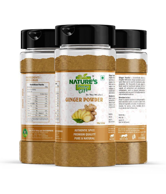 Natures Gift - 100 gm Ginger powder (Pack of 4)