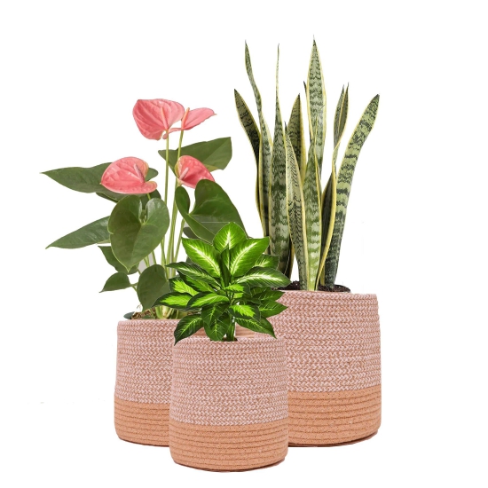 Dual tone Jute Baskets Set of 3