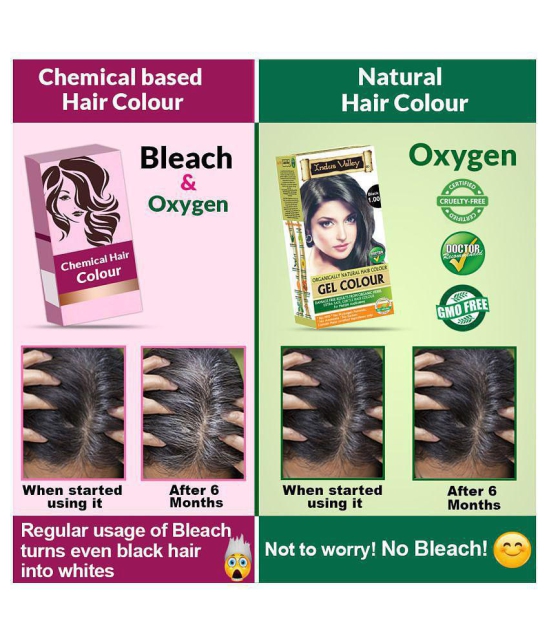 Indus Valley Organically Natural Hair Color Damage Free, No Ammonia Gel Hair Color Black 1.00 , black 1.00