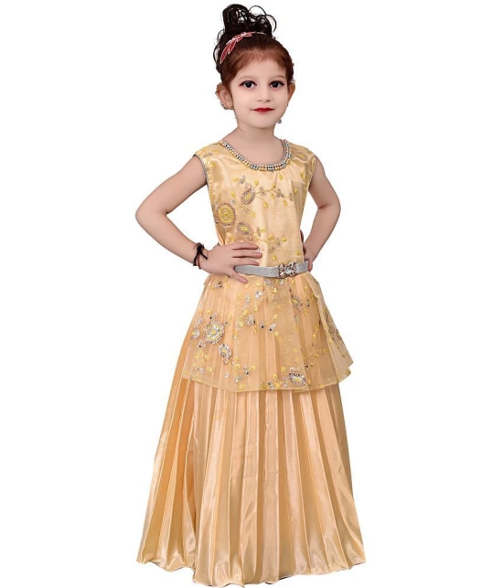 Arshia Fashions Girls Gown Dress for Kids - None