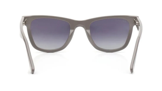 Smoke Wayfarer Sunglasses for Men