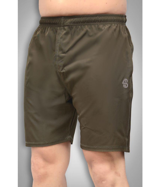 Forbro - Olive Polyester Men's Running Shorts ( Pack of 1 ) - None