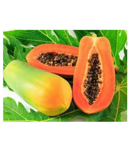 Papaya Seeds thai big red Variety Dwarf Fruit | Pack of 50 seeds