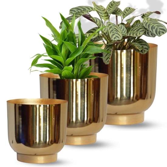 ecofynd 3 Pack Eva Metal Plant Pots (8 inch, 9 inch, 10 inch) | Indoor Planter Flower Pots with Drainage Hole | Home Garden Decor Planter  (Gold Finish)