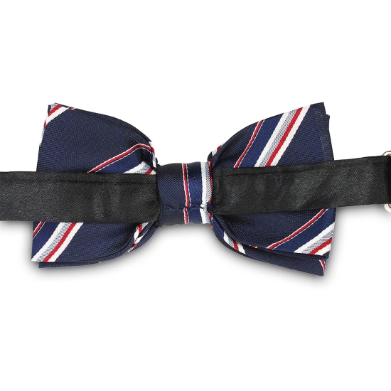 Kavove The Striped Trend Setter Blue Colour Bow Tie