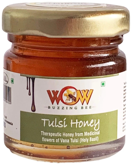 Wow Zip - GO Herbs & NUTRITION-100% Pure and Effective - The Finest Noni Juice Herbal Juice-No Added Sugar . (750 x 2+2 Honey 55g) Free Immunity Enhancing Honey.