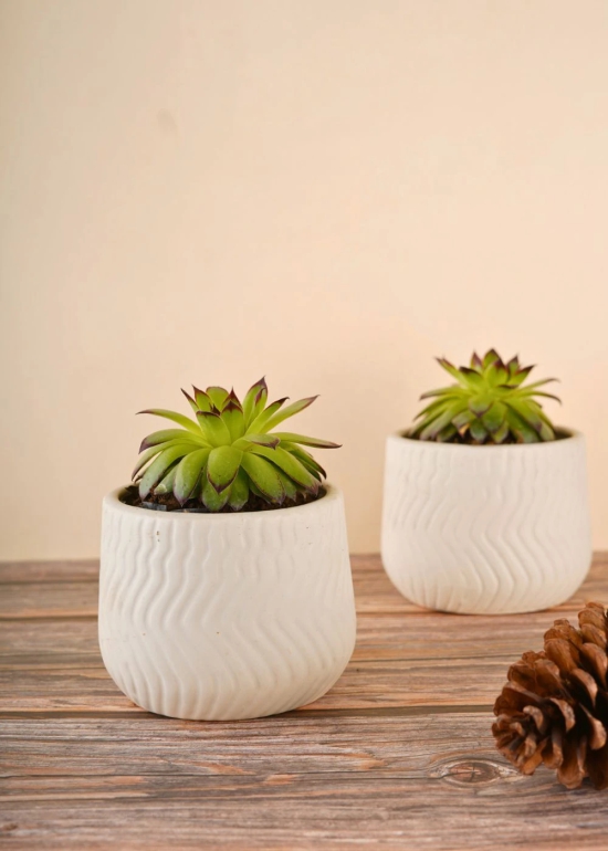 Essential White Planter