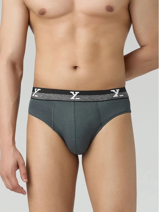 XYXX Pack of 1 Cotton Mens Briefs ( Grey ) - None