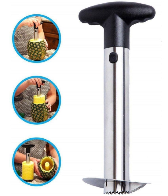 KALPVRUKSH ENTERPRISE - Multicolor Stainless Steel Pineapple Corer ( Pack of 1 ) - Multicolor