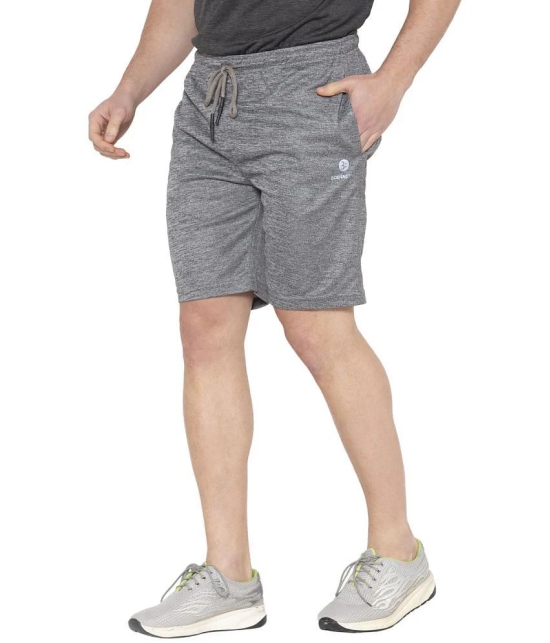 Bodyactive - Grey Melange Polyester Mens Gym Shorts ( Pack of 1 ) - None