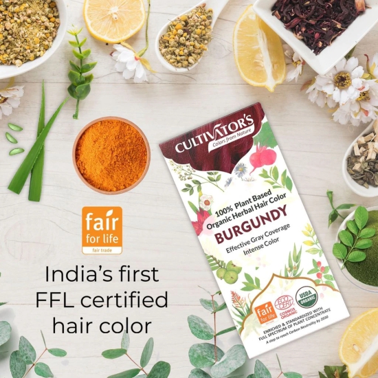 Cultivators Organic Hair Colour - Herbal Hair colour for Women and Men - Ammonia Free Hair Colour Powder - Natural Hair Colour Without Chemical, (Burgundy) - 100g