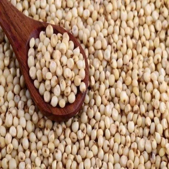 jawari / ????? /Sorghum-250 Gms