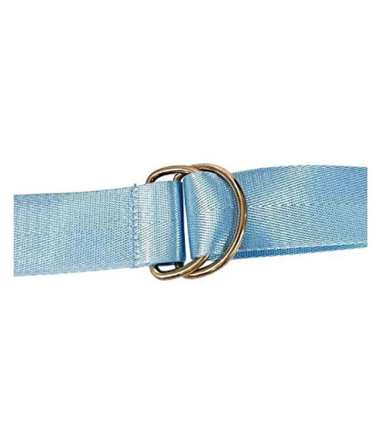 Livisorb Blue Nylon Casual Belt - Free Size