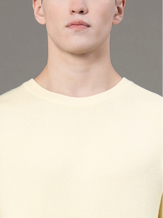 RedTape Round Neck Solid Sweater for Men | Essential Comfort for Every Day