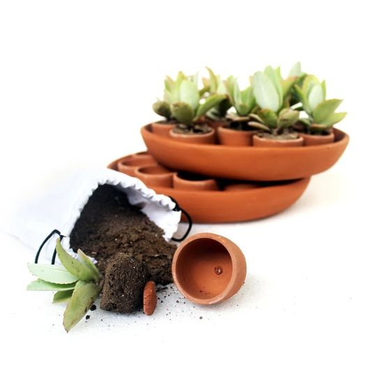 Handcrafted Terracotta Disk Plantation/Germination Kit