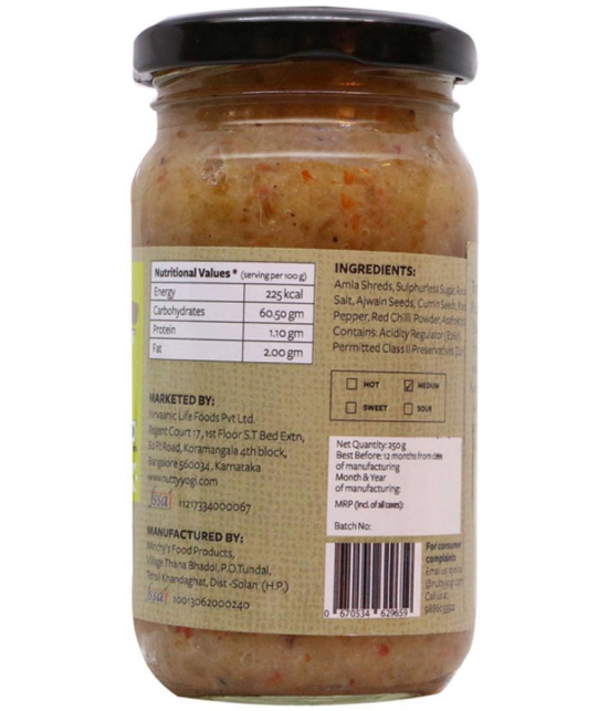 Nutty Yogi Amla Chutney 250 g