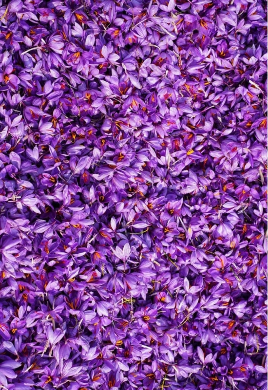 Saffron Kashmiri (Organic)