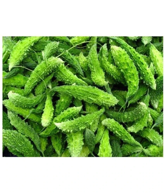 Bitter Gourd Karela seeds pack of 25 seeds