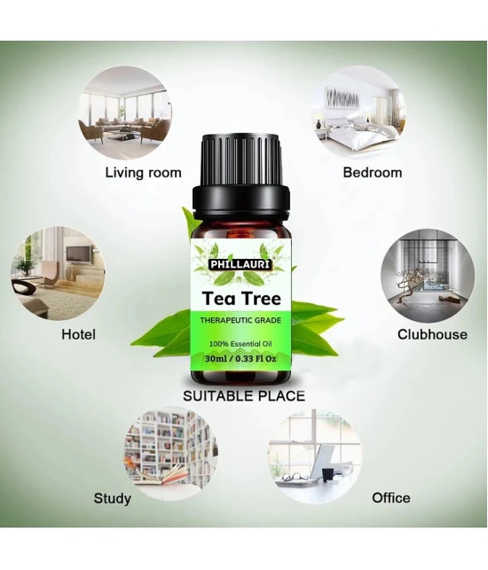 Phillauri Tea Tree Others Essential Oil Fruity With Dropper 30 mL ( Pack of 1 )