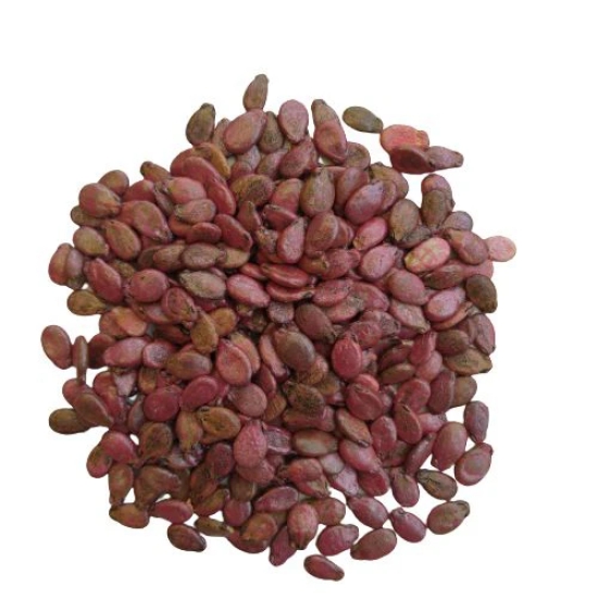 Watermelon Tarbooj Seeds | Fruit Seeds