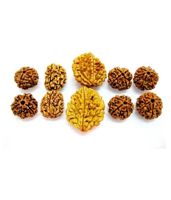 Natural 2 3 4 5 6 Mukhi (Face) Rudraksh Rudraksha (Big lot 10 Pieces) Energized