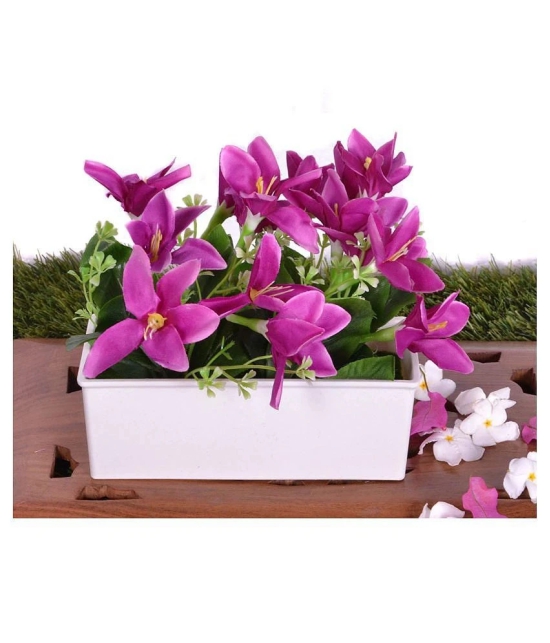 YUTIRITI Lily Purple Flowers With Pot - Pack of 1