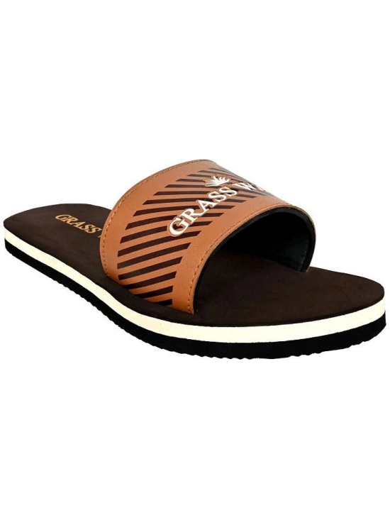 GRASS WALK Brown Mens Daily Slipper - None