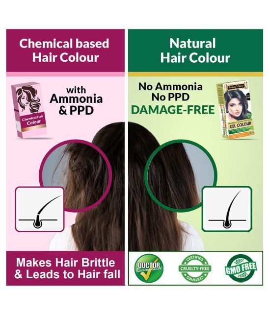 Indus Valley Organically Natural Hair Color Damage Free, No Ammonia Gel Hair Color Black 1.00 , black 1.00